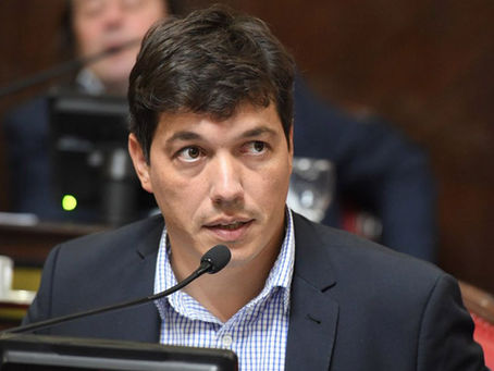 Bozzano: "Los que eliminaron el Ministerio de Salud nos quieren explicar cómo afrontar una pandemia"