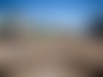 Nueva veterinaria municipal: comenzaron las tareas de construcción con financiamiento 100% comunal