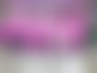 Alberto Fernández: "Deseamos que la Argentina se ponga de pie de una vez para siempre"