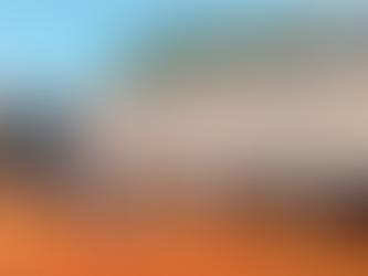 Decomisan 218 toneladas de soja en Misiones y Corrientes