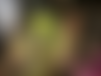 Kulfas celebró la sanción de la ley de cannabis medicinal