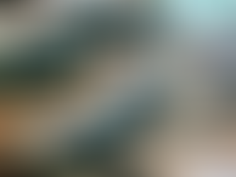 La industria autopartista creció 6% interanual en junio