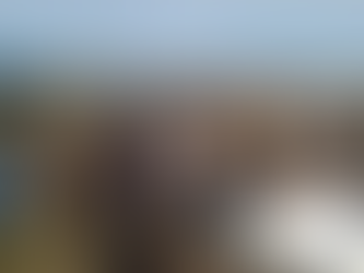 Asesinaron a almacenero para robarle fernet y chupetines: fueron capturados