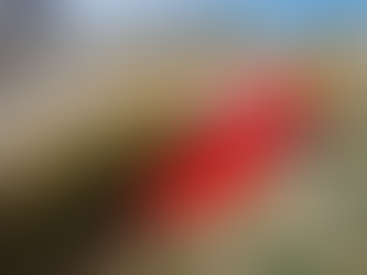 Neuquino rompió el récord mundial de alcoholemia: manejaba con 5.79 de alcohol en sangre