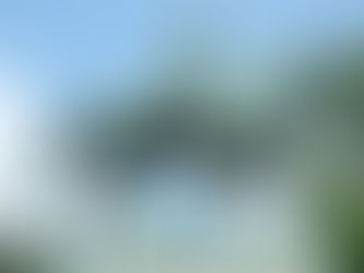 No Monuments to Skeptics