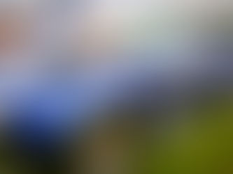 Great News…We're Getting Bigger!