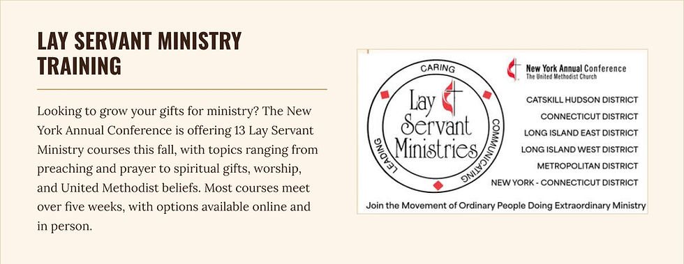 04-lay-servant-training.jpg