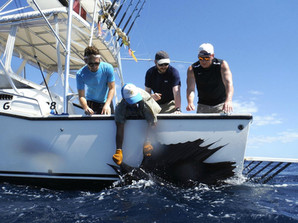 kingpin-sportfishing.jpeg