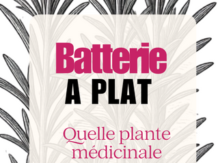 Quand on parle de fatigue, on pense souvent aux plantes stimulantes m