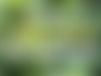 Vitamines & minéraux