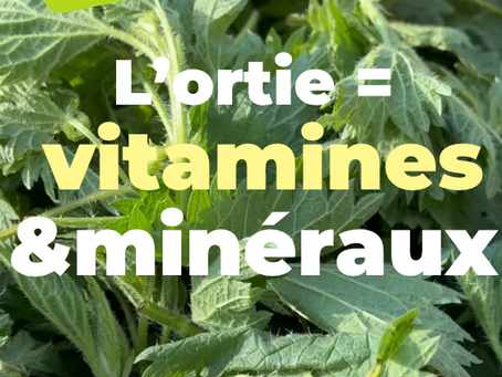 Vitamines & minéraux