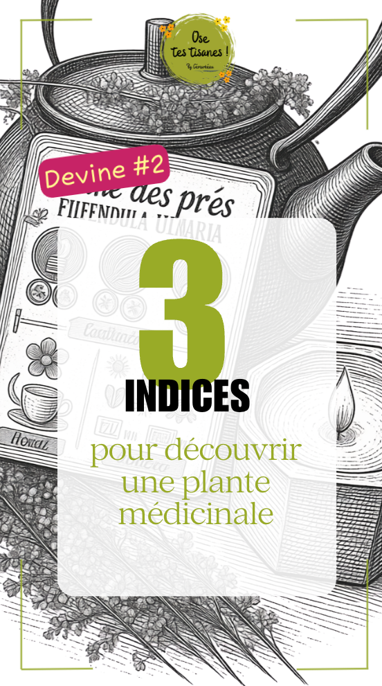 🌿 Devine #2… tu avais reconnu la mélisse ?