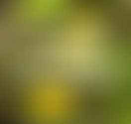 Tuto #2 : tu évites l'amertume ?