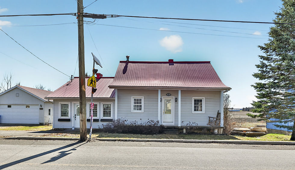 46 - 4220 Rue Lalande.jpg