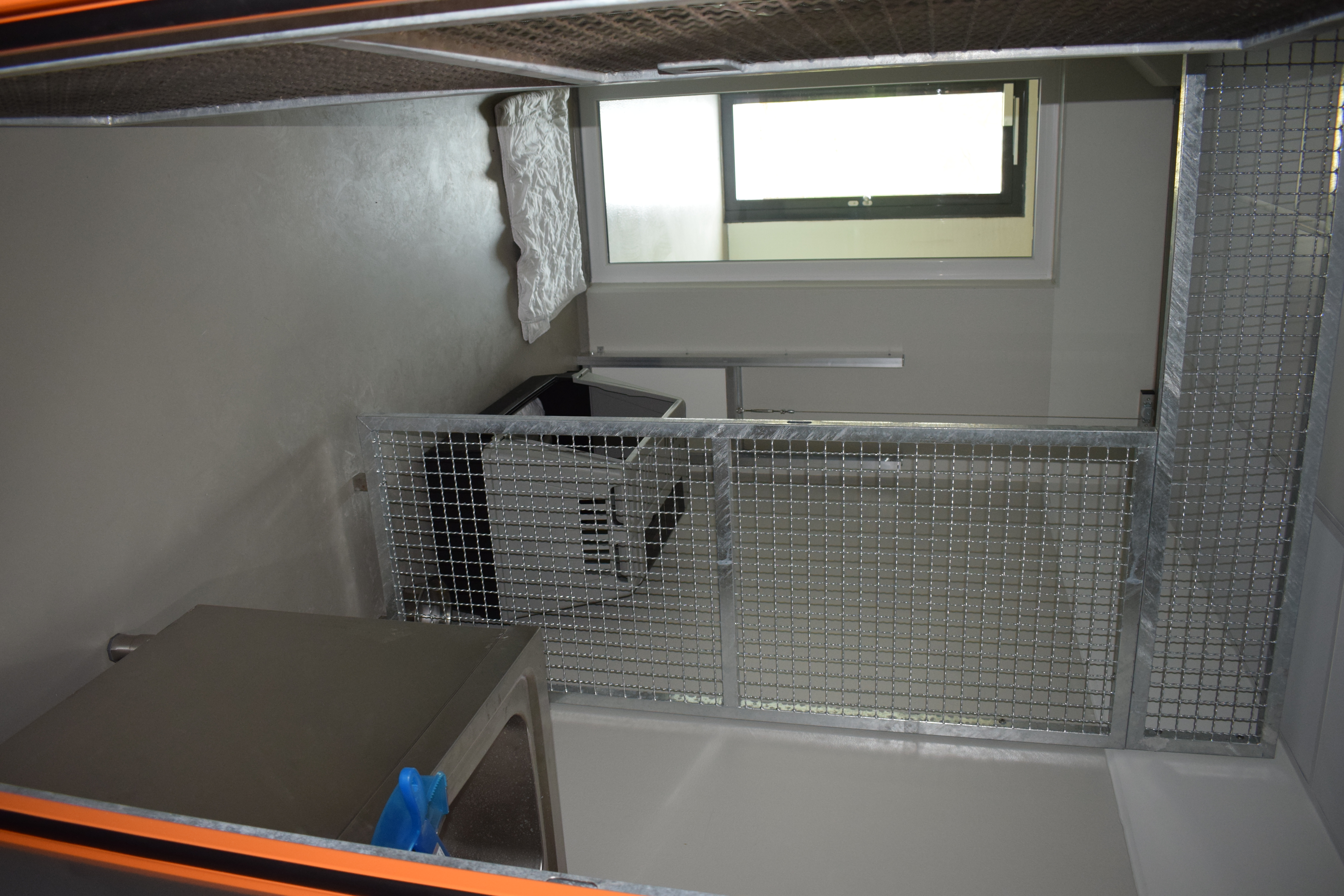 Hunde Quarantäne