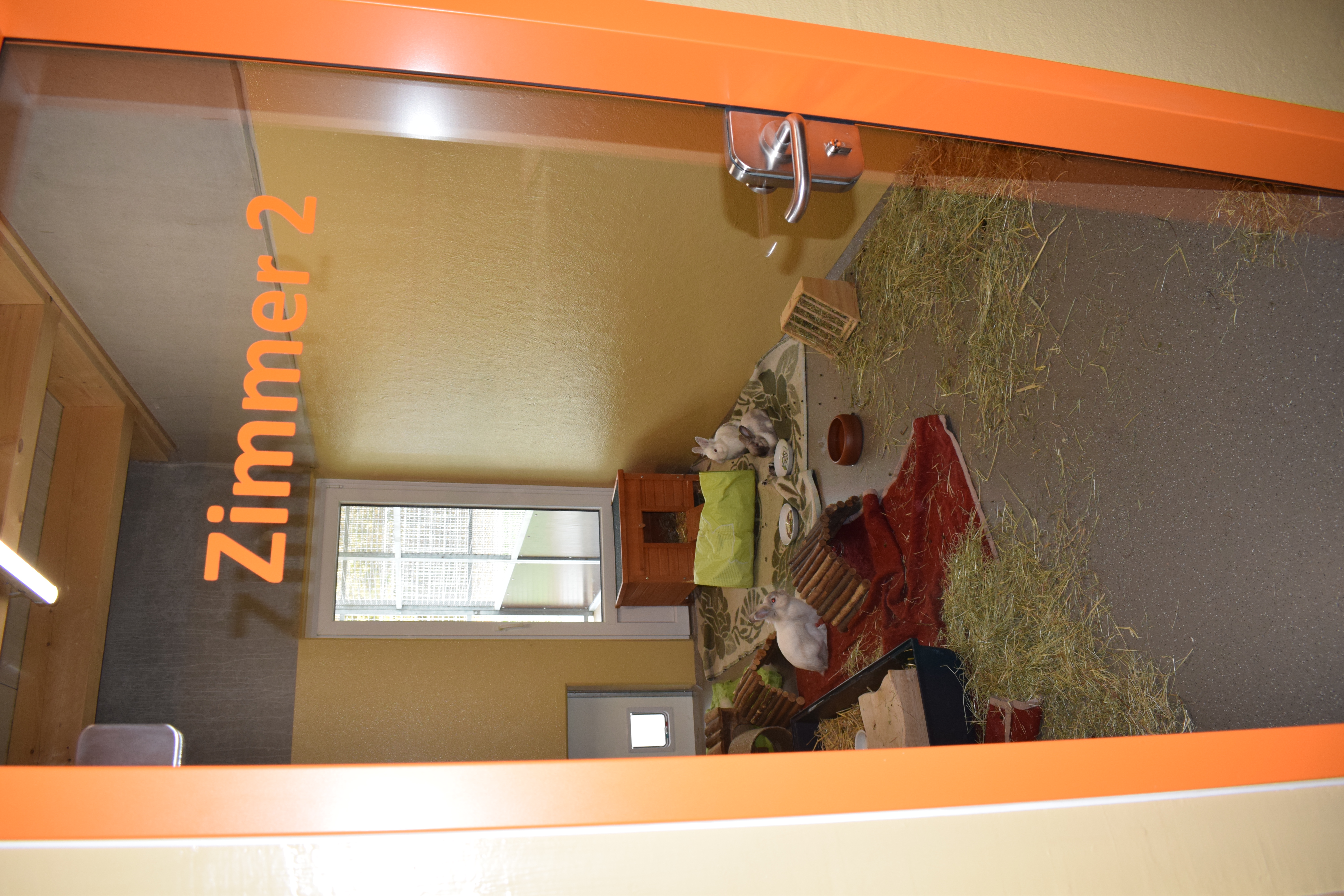 Hasenzimmer