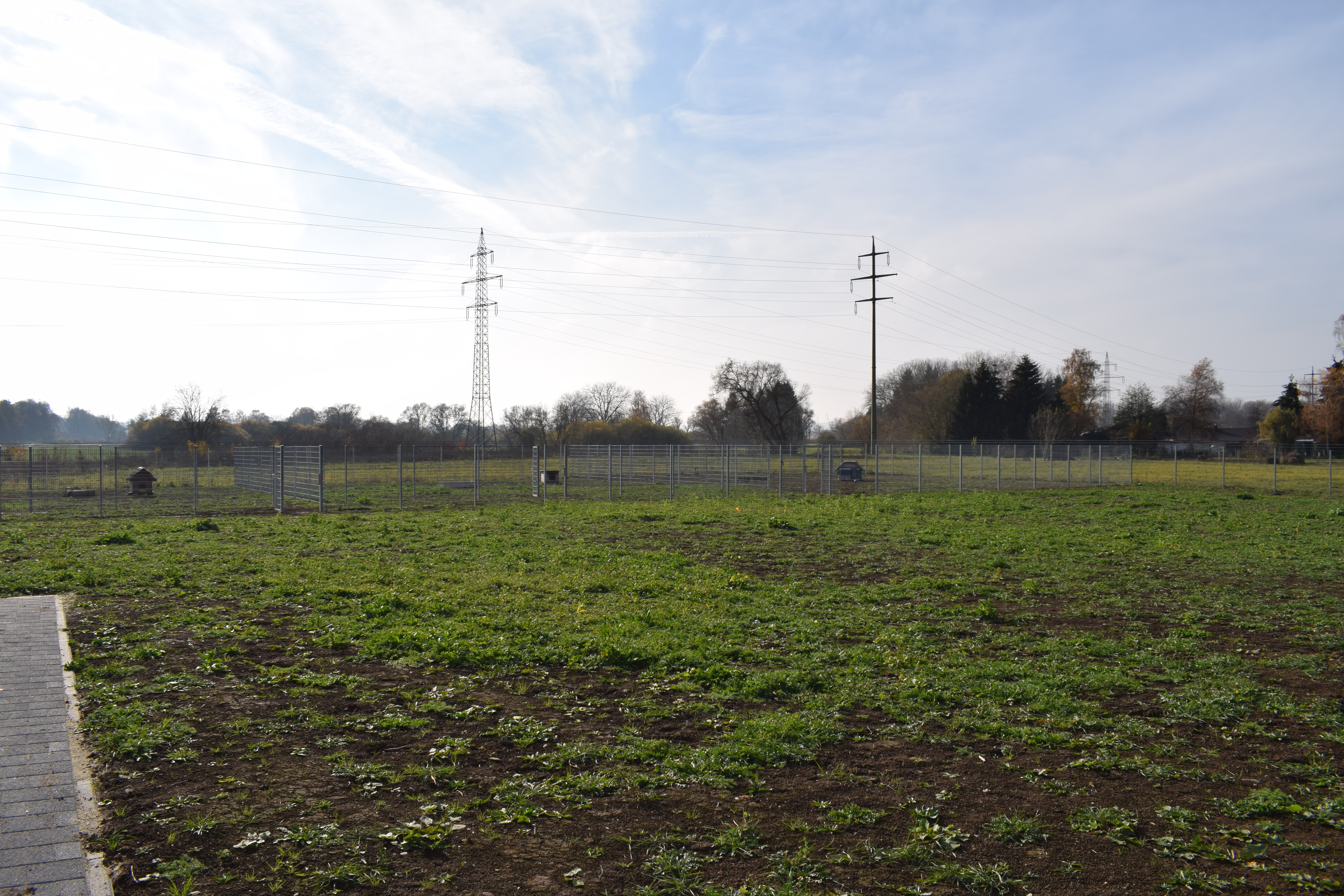 Hunde Auslauf