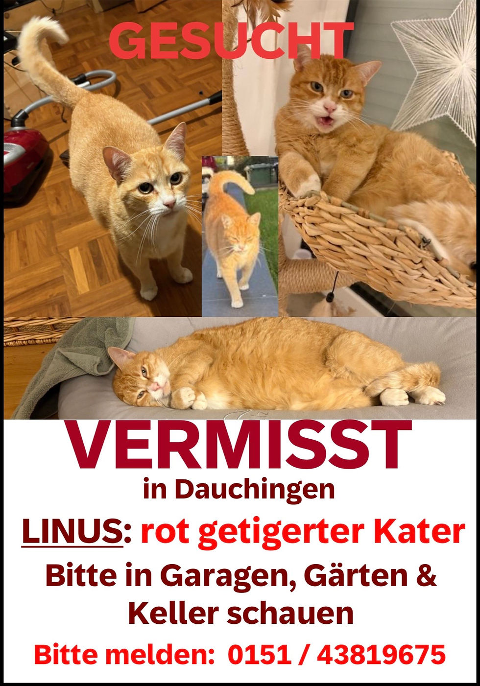 Linus vermisst seit 04.05.26