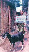 IMG-20230511-WA0029.jpg