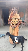 IMG-20230511-WA0039.jpg