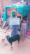 IMG-20230511-WA0037.jpg