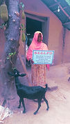 IMG-20230511-WA0035.jpg