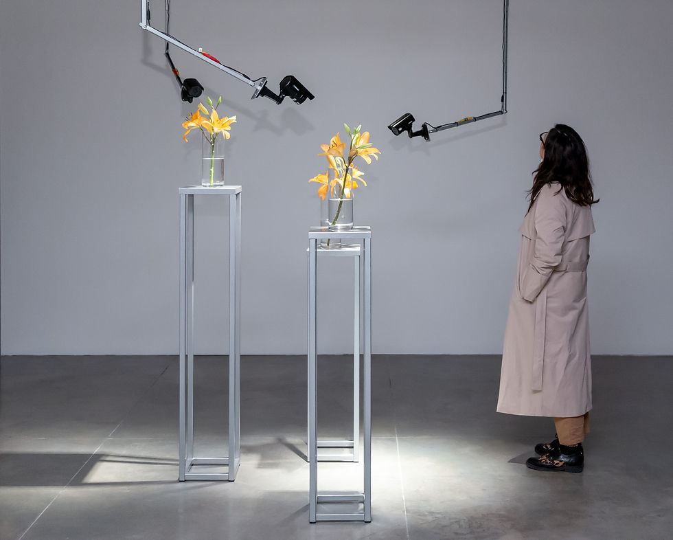 EL PROBLEMA DE LOS TRES CUERPOS