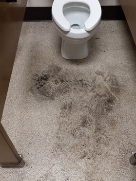 Bathroom Tile & Floor cleaning