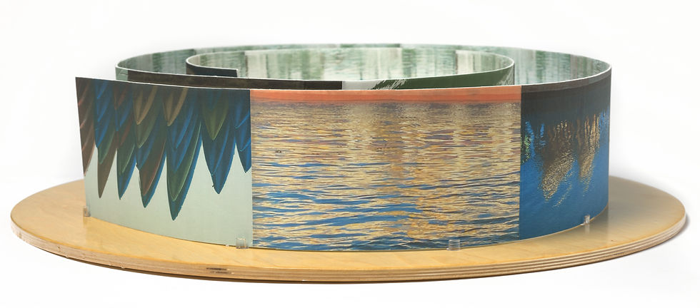 Bonnie Smith 2ND Place Reflections 1