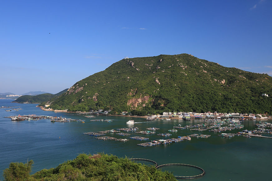 南丫生物多樣性導賞團.JPG.jpg