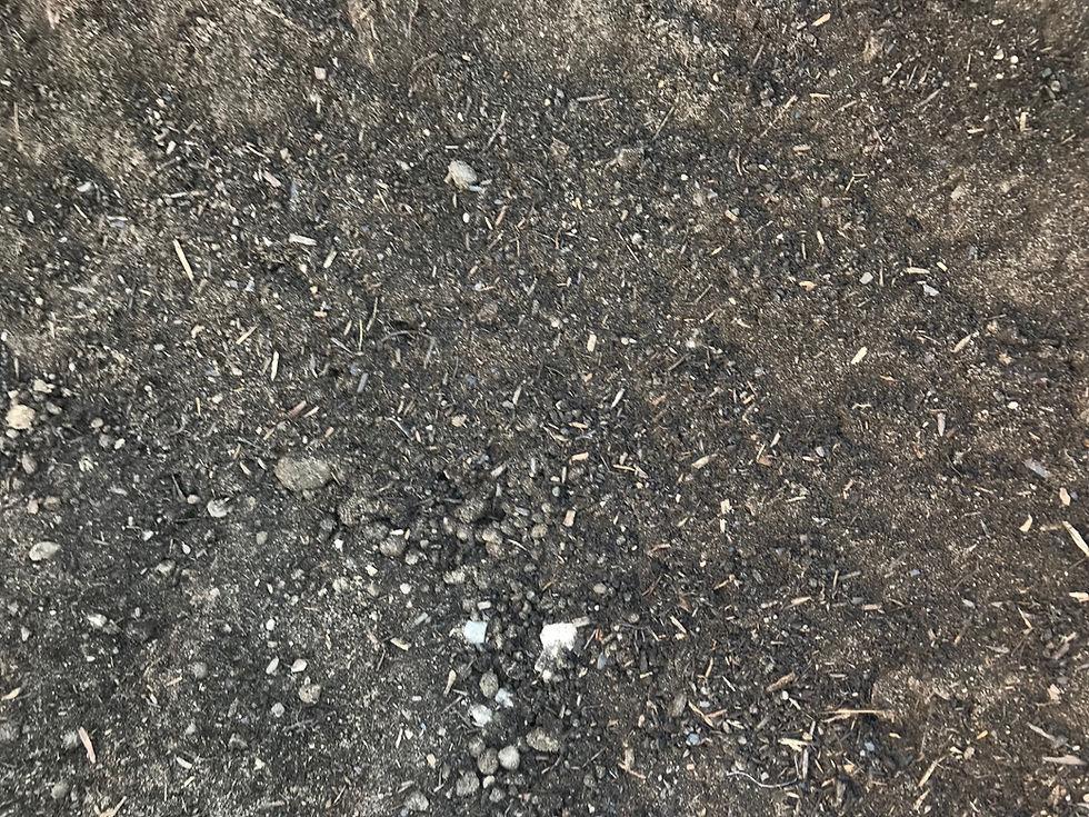 Planter Mix