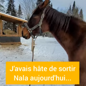 Quand son corps me dit autre chose