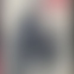 Œuvres complètes, Nuno Oliveira