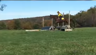Un cheval et sa cavalière qui saute un obstacle de cross