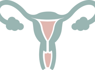 picto-cabinet-gynecologie-rennes-gynecologue.png