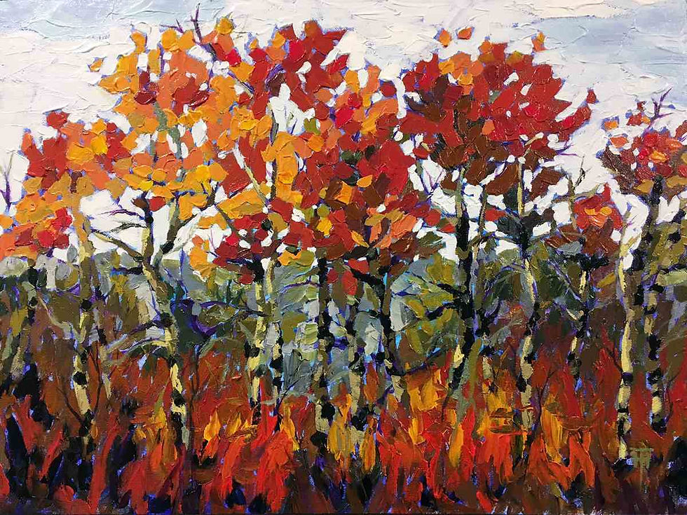 Foothills Sentinels