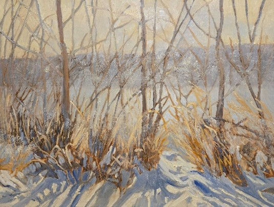 In The Shadows of Yamnuska
