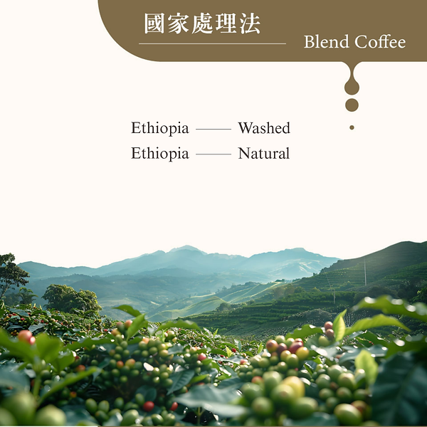 african waltz-3.2.png