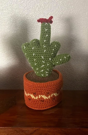 Prickle & Pop Cactus