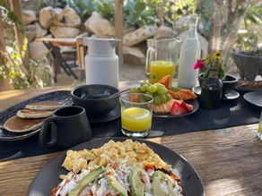 A beautifully plated breakfast served at El Perdido Desert Dream in Mexico, featuring fresh, vibrant ingredients on a rustic ceramic plate. The dish sits atop a natural wood table, surrounded by warm desert sunlight and minimalist décor, evoking a sense of calm, nourishment, and intentional living.