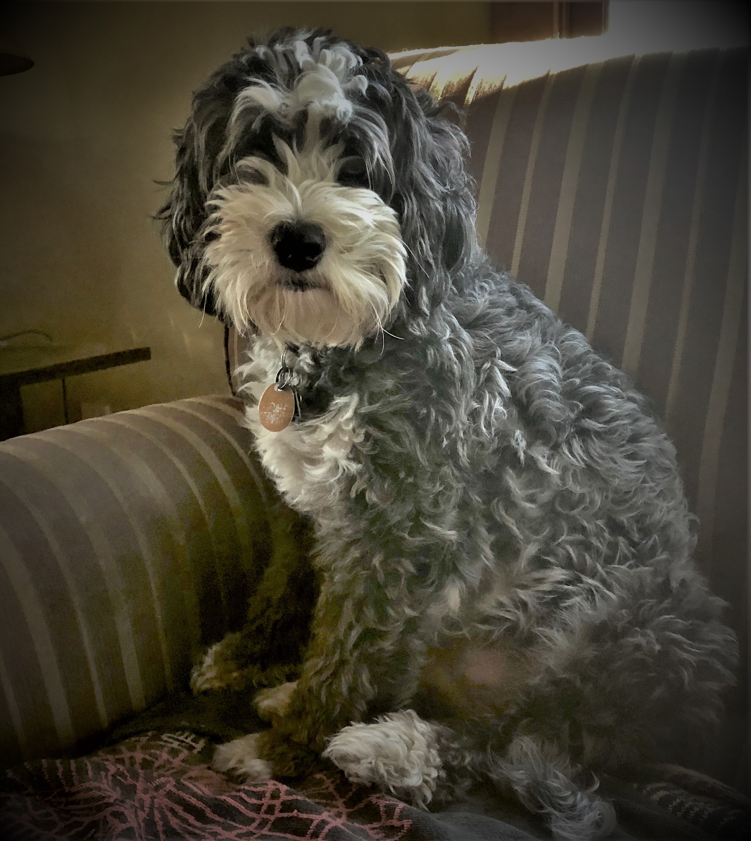 Izzy