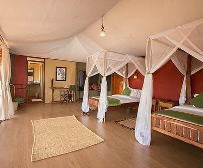 karatu-simba-lodge.jpg