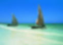 zanzibar dhow.jpg