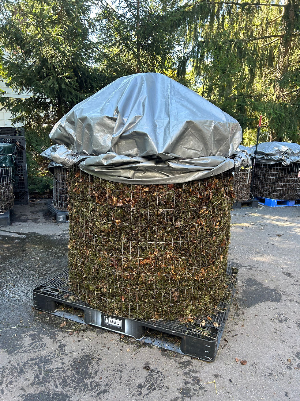 A thriving compost pile, showcasing the regenerative power of composting in a blog post about its environmental benefits.