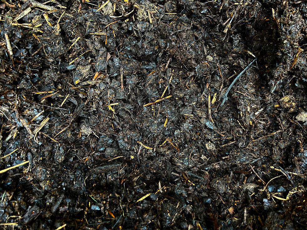 Compost