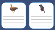 Tapatapawhenua-Research Cards-1.png