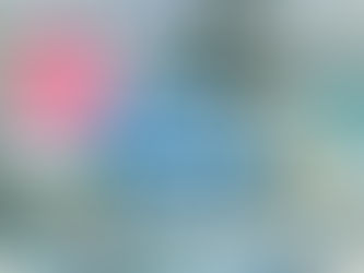 【結果発表】上天草パールライン釣り大会〜拾うあなた、釣るあなたが主役です〜