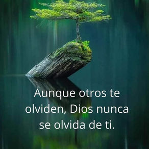 Un salmo en la epidemia: la confianza triunfa sobre el miedo
