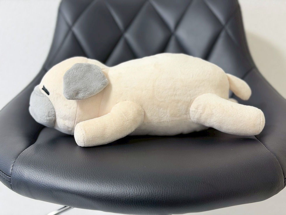 サムネイル： 【一般受注販売】ぬいぐるみ&直筆原画セット