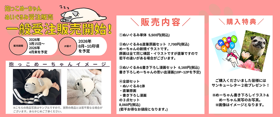 抱っこめーちゃん